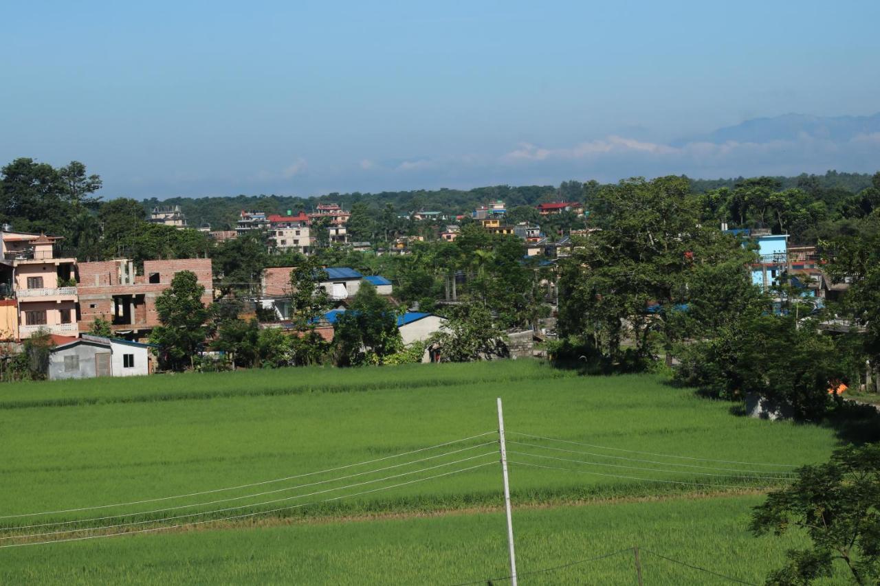 Hotel Sauraha Gaida House Chitwan Buitenkant foto